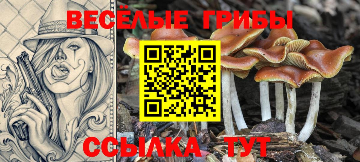 Псилоцибиновые грибы MAGIC MUSHROOMS Вязники