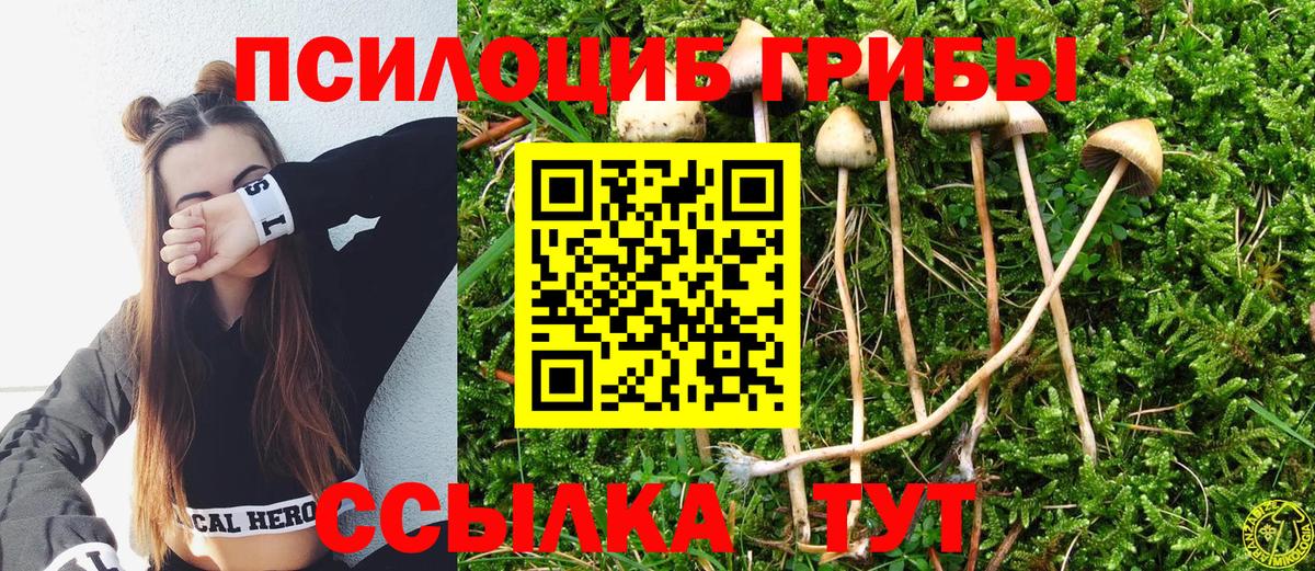 Вязники  Псилоцибиновые грибы MAGIC MUSHROOMS  Вход с VPN 